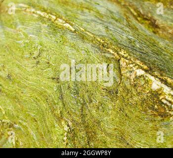 Green marble texture background floor decorative stone interior. natural pattern of marble background, Surface rock stone with a pattern of Emperador Stock Photo