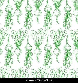 cute seamless background of ripe radish. hand-drawn illustration Stock Vector