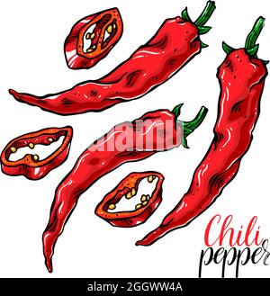 cute set of different chili peppers. hand-drawn illustration Stock Vector