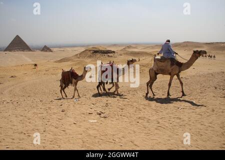 Meroe, Sudan - November, 18, 2017: Cameleer with his camel at sunrise ahead of the pyramids. Stock Photo