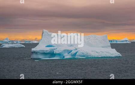 Floating icebergs in te Antarctic sea, near Antarctic Peninsula , Antartica Stock Photo