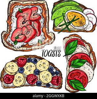 delicious set of different breakfast toasts. hand drawn illustration Stock Vector