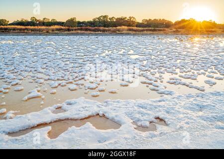 Pond full of salt after evaporation of ocean water at salines in Faro, Algarve, Portugal Stock Photo