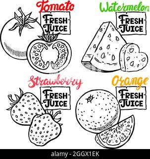 Fresh Juice. beautiful set of fresh fruits and berries. hand-drawn illustration Stock Vector