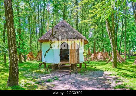 The small stilt house of healer (herbal healer) in forest with a view of tall trees and drying sheaves of straw behind the house, Pereiaslav Scansen, Stock Photo