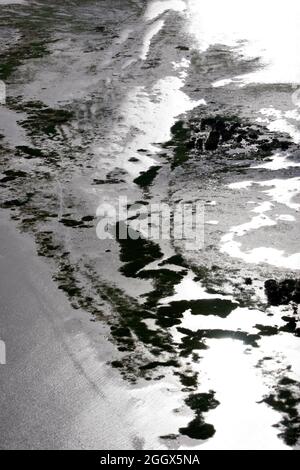 Tapajos river, flooded forest on riverside. Stock Photo