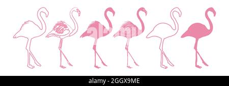 Flamingo Set Isolated Silhouette Illustration Stock Vector