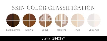 Skin Tone Color Classification Isolated Stock Vector