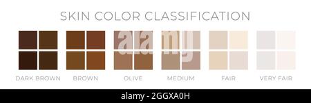 Skin Tone Color Classification by Fitzpatric Scale Stock Vector