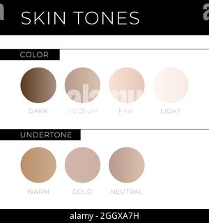 Skin tones with Undertone. Warm, Cold, Neutral Skin Colors Stock Vector