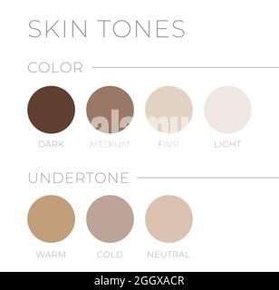 Skin tones with Undertone. Warm, Cold, Neutral Skin Colors Stock Vector