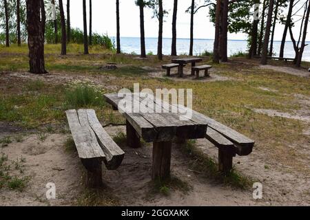 Wooden rustic table and two benches dug into the ground in a pine forest by the sea Stock Photo