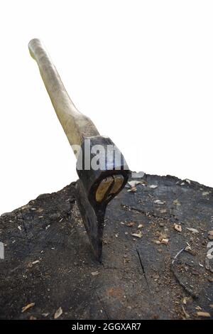 Ax stuck in wooden deck on white clipping background Stock Photo