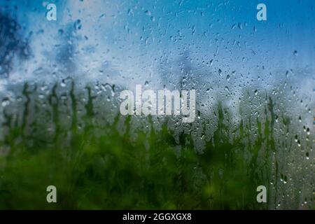 Abstract image of monsoon, blurred blue sky with green natural foreground and few trees. Raindrops on glass creating rainy mood. Rainy season, monsoon Stock Photo