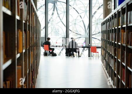 Students at study in a library. Stock Photo