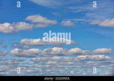 White fluffy clouds float across the blue sky in even rows during the day. Copy space. Stock Photo