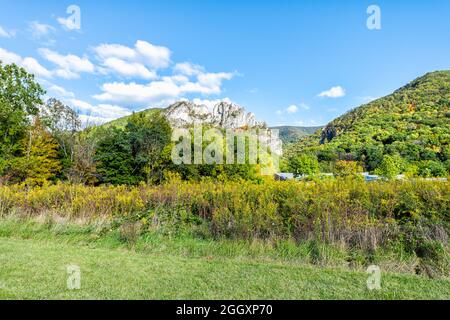 Landscape view of Seneca Rocks from visitor center building during autumn fall season and yellow goldenrod wildflowers field meadow Stock Photo