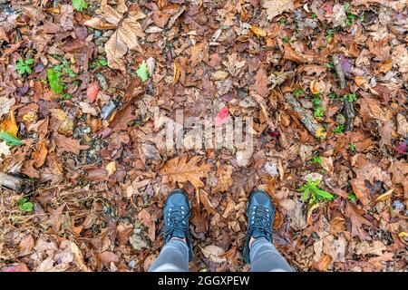 Looking down view at shoes by fallen autumn brown orange many leaves on ground female woman feet flat top view in Virginia Stock Photo