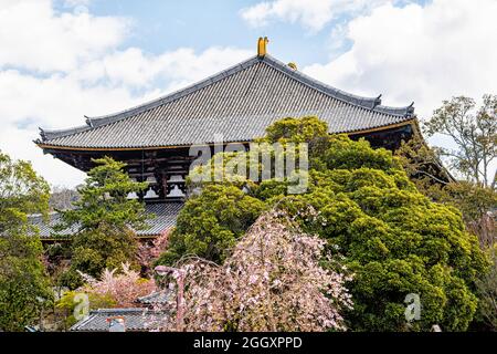 Nara, Japan Todaiji temple in city during day with view of pagoda tower roof tiles and cherry blossom tree flowers and sky Stock Photo