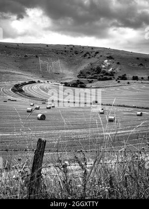 A late Summer photo of the Longman of Wilmington on the side of the South Downs just on the edge of Wilmington village.  What I can safely say is that Stock Photo