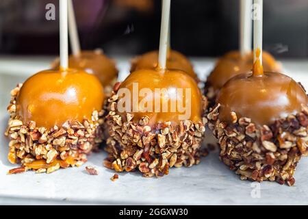 Caramel caramelized apples with pecan nuts on sticks sweet candied food dessert on retail display in candy store shop cafe in Key West, Florida Stock Photo