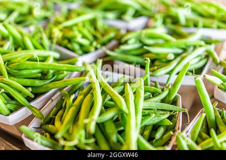 Macro closeup of many local produce green beans in cardboard paper boxes containers on retail store shop shopping display in local farmer's market at Stock Photo