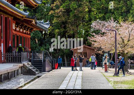 Nara, Japan - April 14, 2019: People candid tourists at Todaiji temple in city during spring season with garden path and red architecture Stock Photo