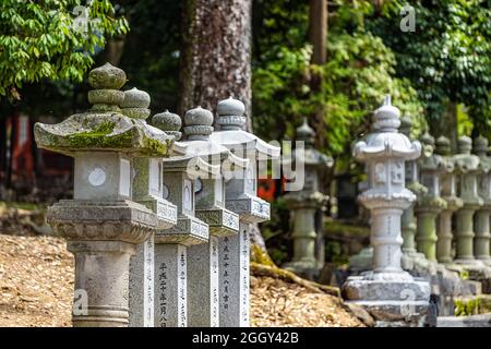 Nara, Japan - April 14, 2019: Kasuga taisha shrine row of stone lanterns on road street by forest trees in spring and nobody Stock Photo