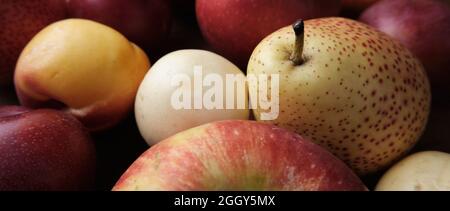 Juicy fruits on a old wooden table. Apples, pears, plums, apricots, close up. Stock Photo