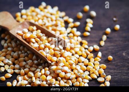 Group of yellow raw corn kernels sweet corn. Grain seeds ingredient golden maize kernel. Wooden table ripe popcorn background. Stock Photo