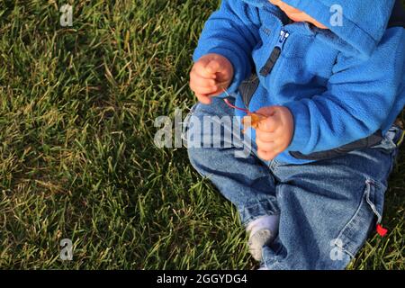 Baby boy in the grass Stock Photo