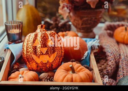 Close up Halloween cozy mood composition on the windowsill. Lighting jack-o-lantern, decorative pumpkins, cones, candles on wooden tray, warm plaid Stock Photo