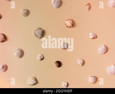 A cute pattern or wallpaper made of sea shells on a beige background. Summer holidays on a sandy beach concept. Stock Photo