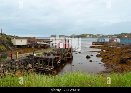 A view of Twillingate, Newfoundland, a small fishing village with a sheltered harbour surrounded by small fishing boats. Stock Photo