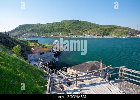 Harbor view of the downtown area of St. John's with large offshore oil supply vessels and salmon farming feed transport boats tied to the dock. Stock Photo