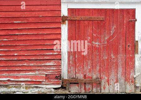A vibrant vintage red wooden barn with a small door, rusty hinges, keyhole, and a latch. There's rot on the wood boards in the bottom of the door. Stock Photo