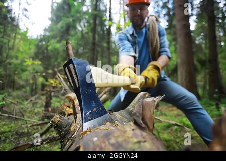 Male worker with ax chopping a tree in the forest. Stock Photo