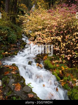 This is Wahkeena Falls in the Columbia Gorge, Oregon.  It was taken in Autumn. Stock Photo