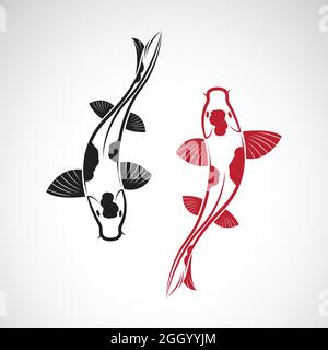 Vector of carp koi fish isolated on white background. Pet Animal. Fish icon. Easy editable layered vector illustration. Stock Vector
