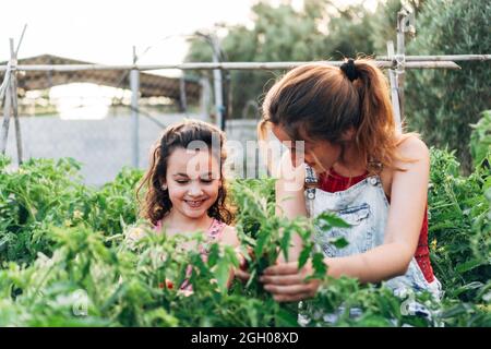portrait of 2 women who take care of their home garden and ecological outdoors. They smile happily as they watch their plants grow. Stock Photo