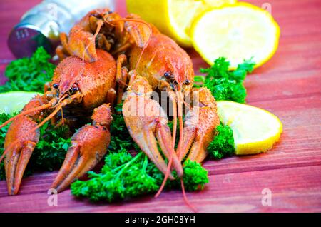 red and appetizing boiled crawfish closeup shot Stock Photo