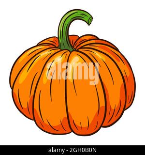 Pumpkin Illustration. Autumn Food Icon. Ripe squash sketch. Element for autumn decorative design, halloween invitation, harvest, sticker, logo, menu, recipe Stock Vector