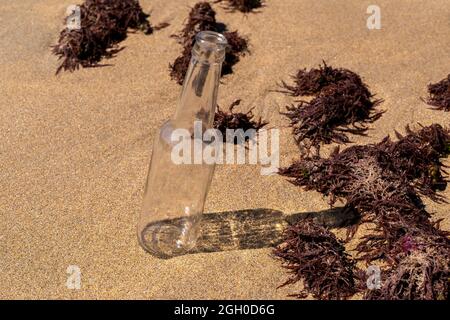 Bottle on the beach. Garbage in the ocean, empty glass bottle. Ecology and environmental protection against pollution concept Stock Photo