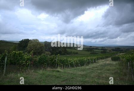 Stormy clouds over the vineyard landscape of Rhineland Palatinate, Germany. Stock Photo