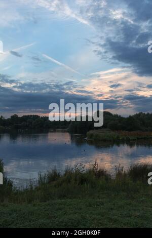Blue and pink sunset over the trees and lake of Lackford Lakes in Suffolk Stock Photo