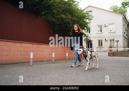 View of young Caucasian female cynologist walking at city urbanity during morning time for training dalmatian dog, plus size female spending leisure with pet best friend enjoying weekend at street Stock Photo