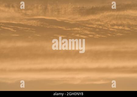 Abstract sky background of deep golden sunset clouds. Full frame color and texture, copy space possible throughout. Rich tones and varied clouds. Stock Photo