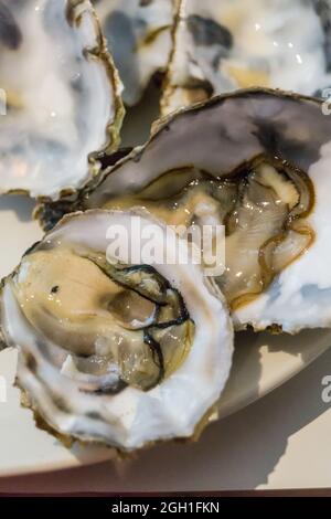 A plate of oysters,Orford Butley Oysterage restaurant, Orford, Suffolk, England Stock Photo