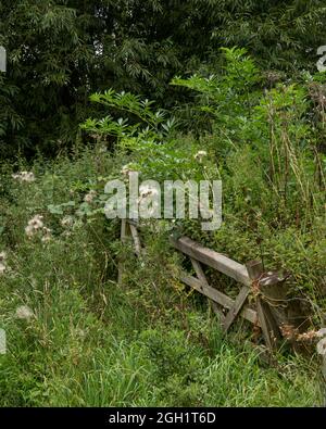 Disused wooden farm gate Stock Photo