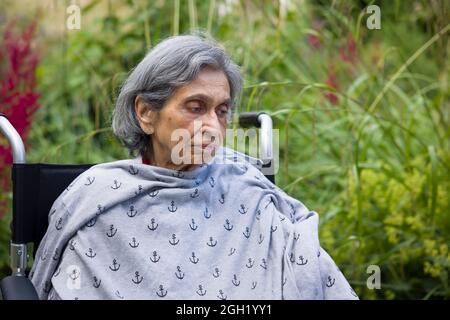 Old Indian woman sitting in a wheelchair in a UK garden, looking sad or depressed. Depicts elderly mental health, depression and illness in old age Stock Photo